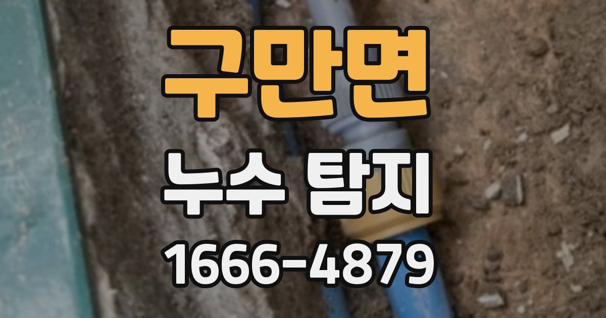 구만면 누수 탐지