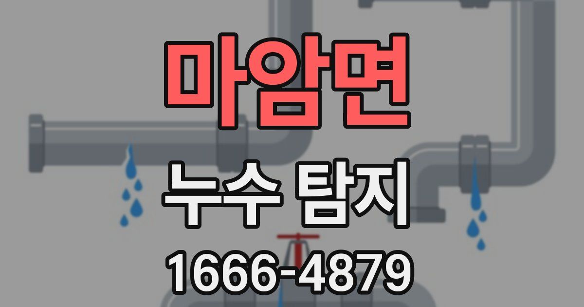 마암면 누수 탐지