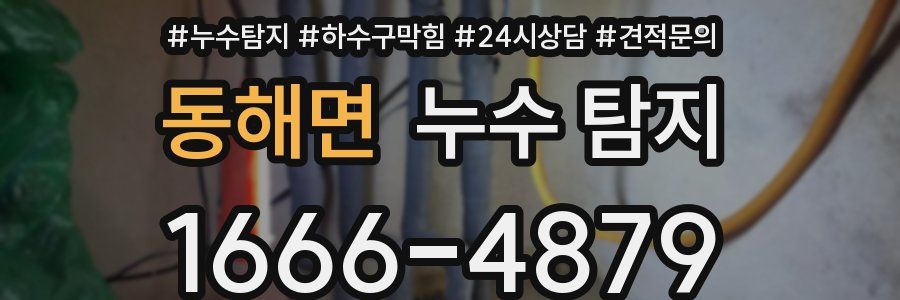 동해면 누수 탐지