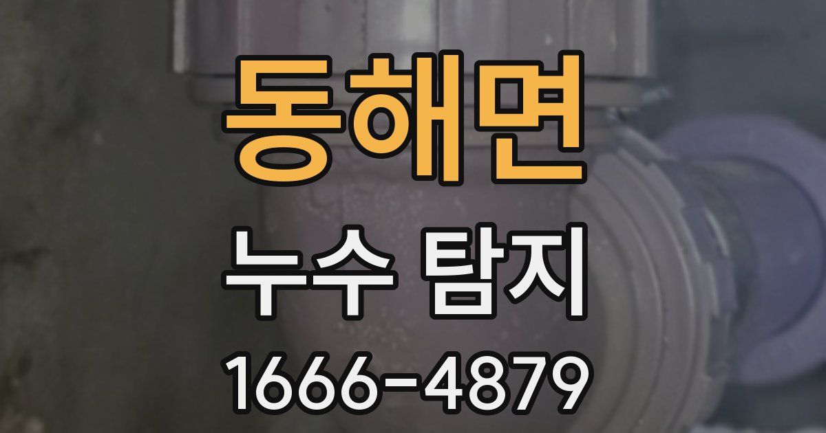 동해면 누수 탐지