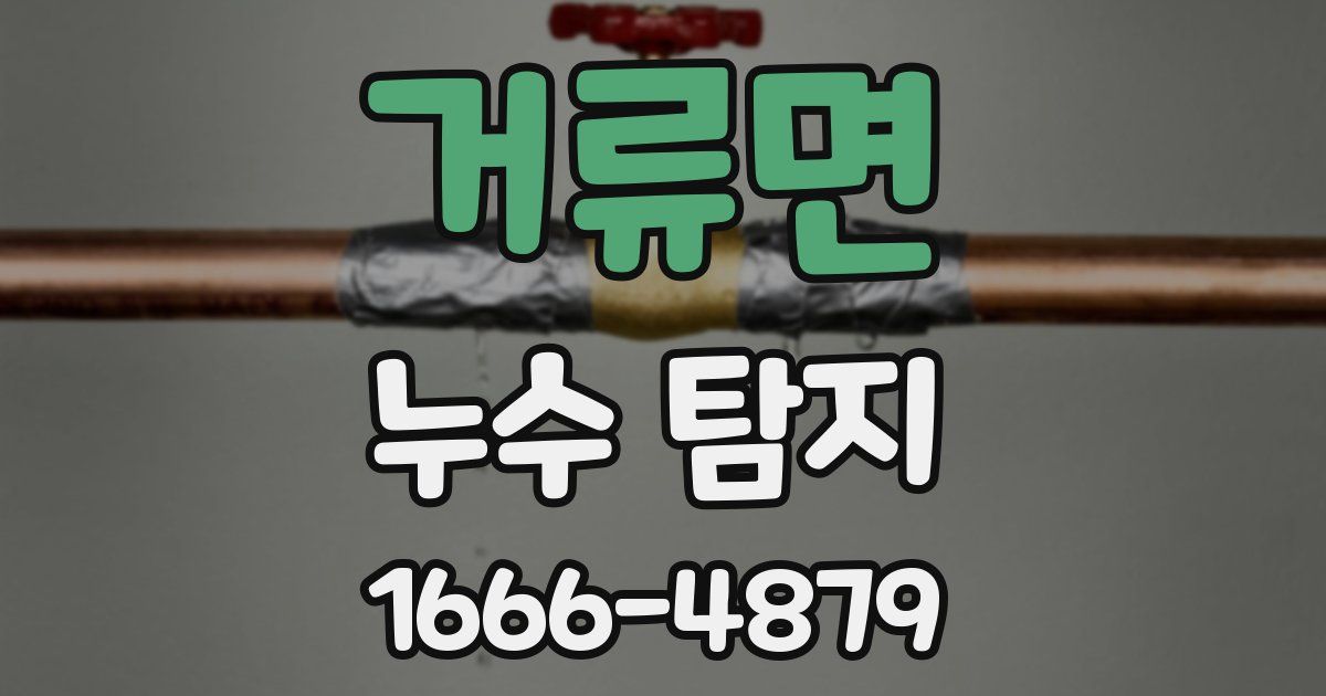 거류면 누수 탐지