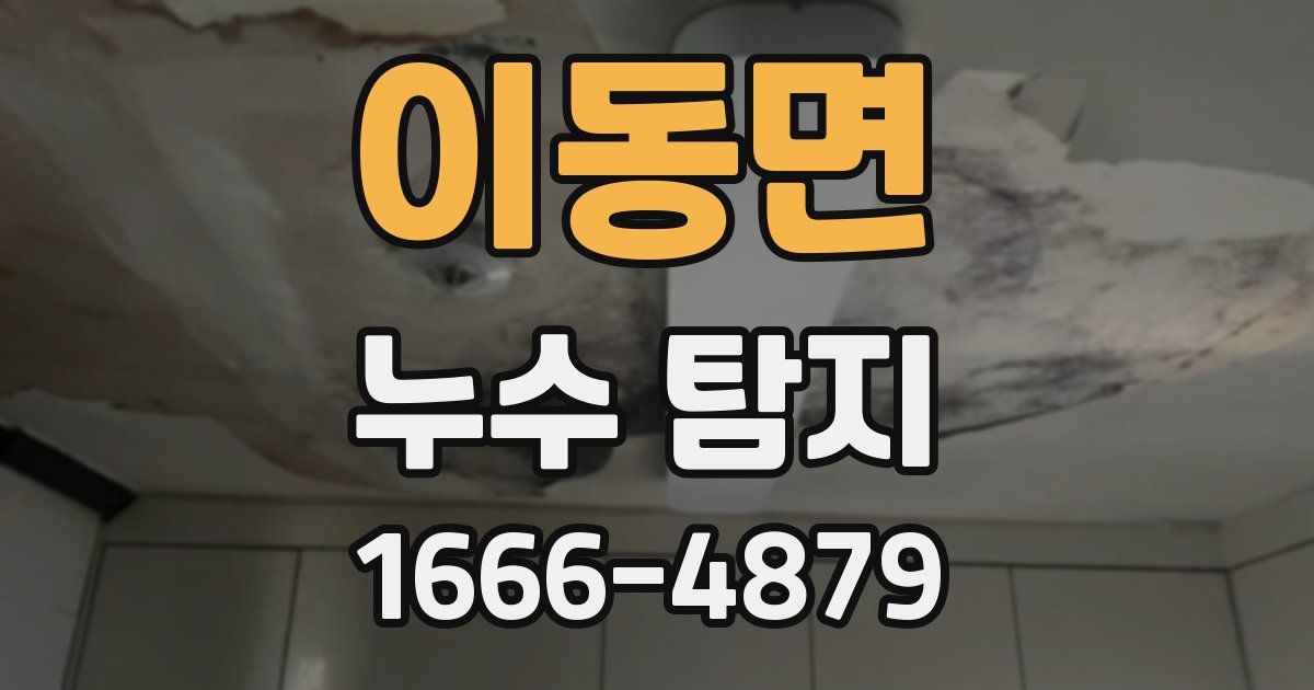 이동면 누수 탐지