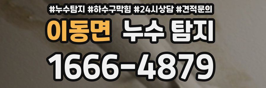 이동면 누수 탐지