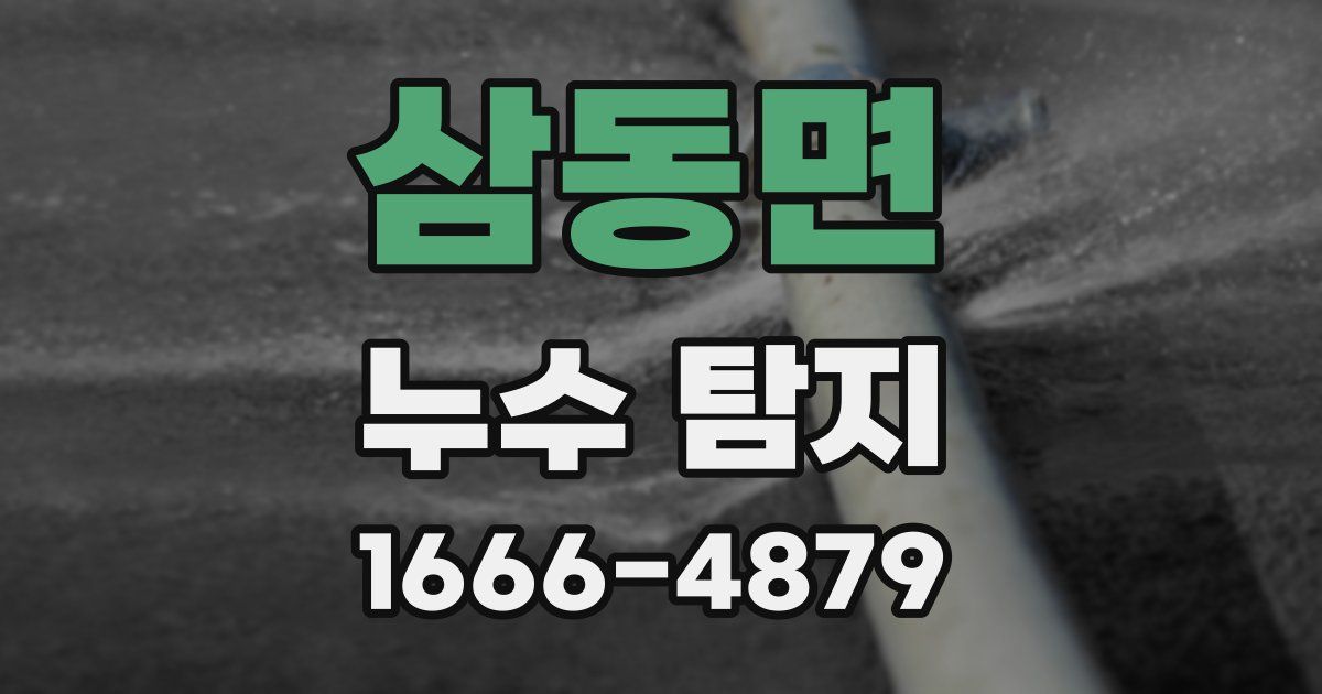 삼동면 누수 탐지