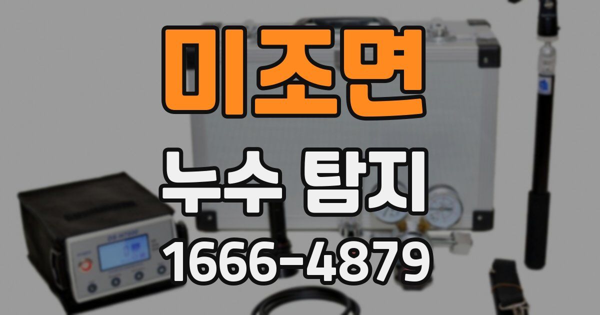 미조면 누수 탐지