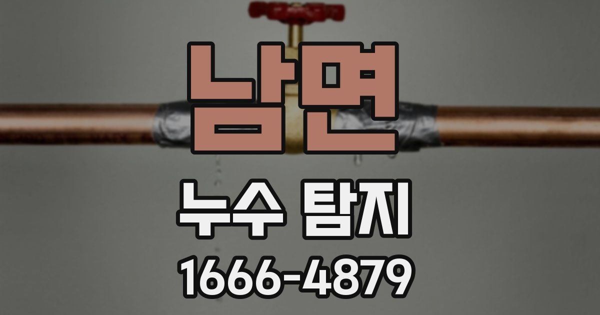 남면 누수 탐지
