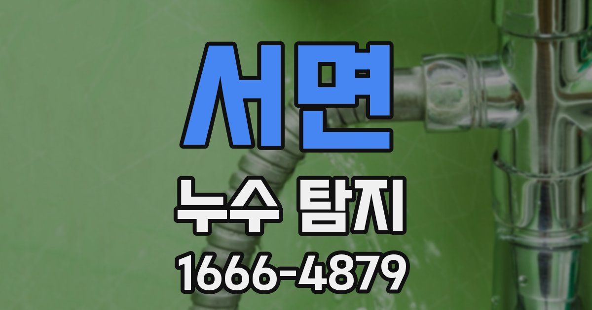 서면 누수 탐지