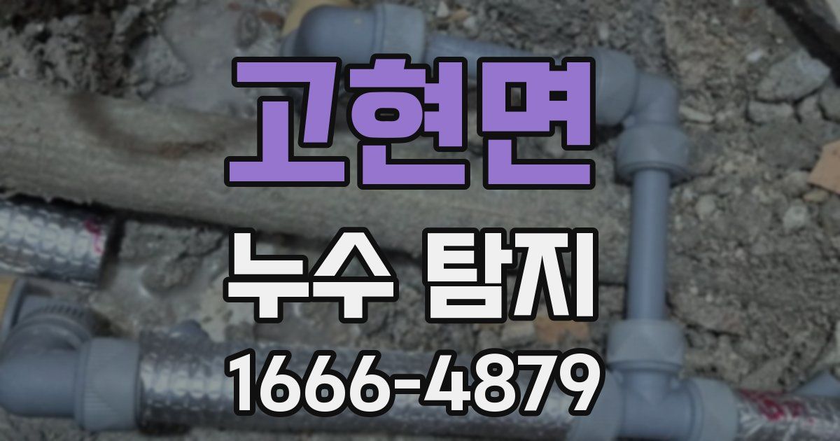 고현면 누수 탐지