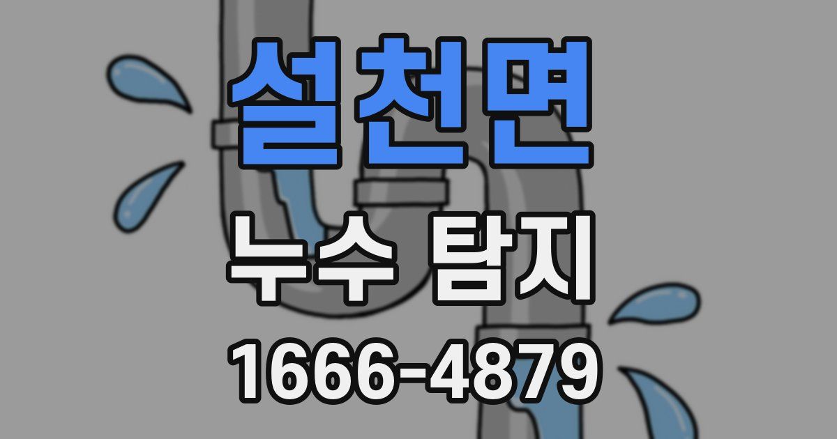 설천면 누수 탐지