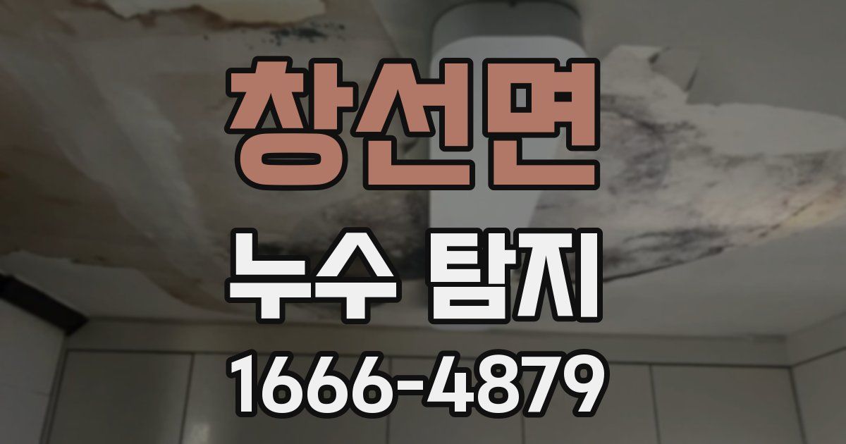 창선면 누수 탐지