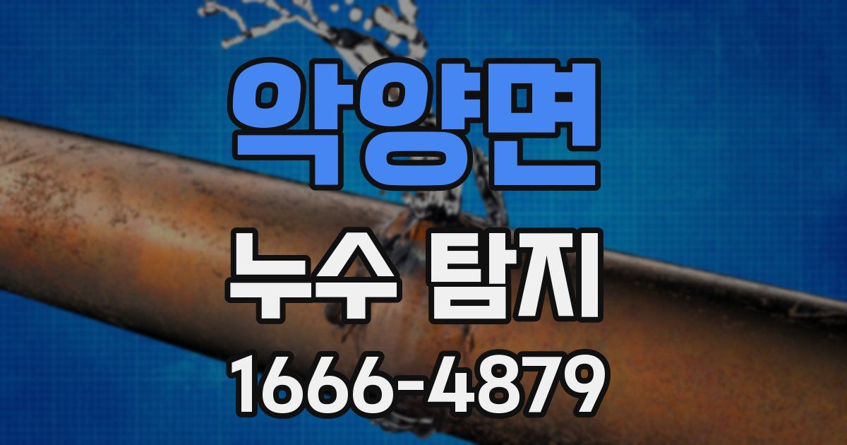 악양면 누수 탐지