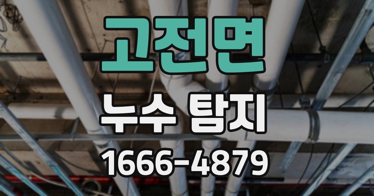 고전면 누수 탐지