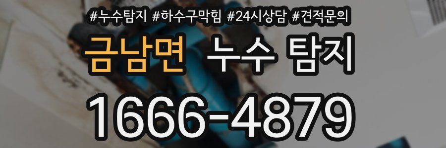 금남면 누수 탐지