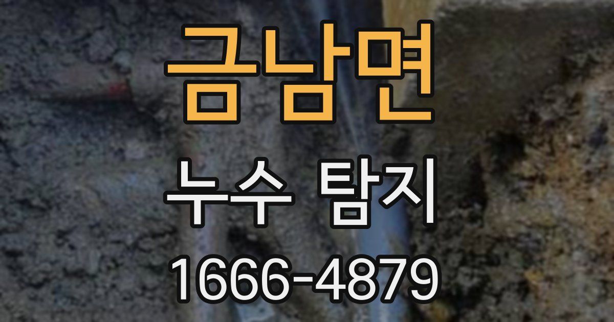금남면 누수 탐지