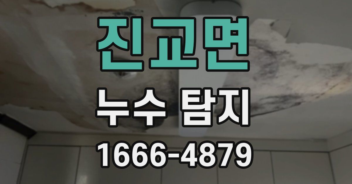 진교면 누수 탐지