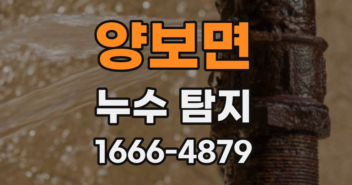 양보면 누수 탐지