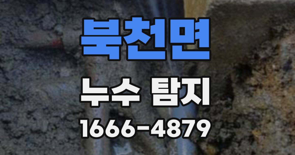 북천면 누수 탐지