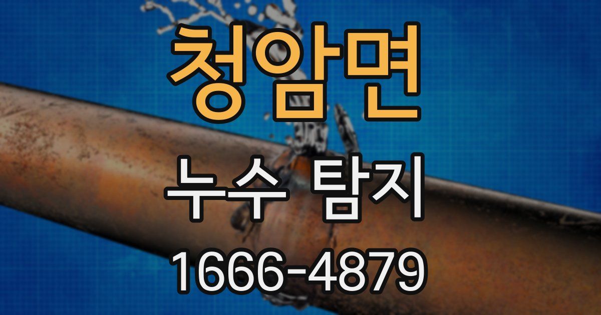 청암면 누수 탐지