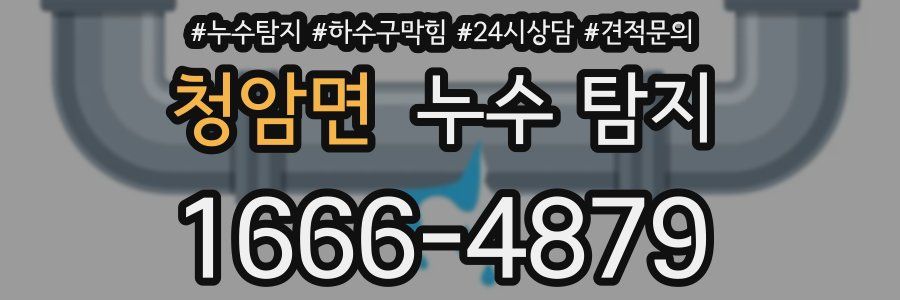 청암면 누수 탐지
