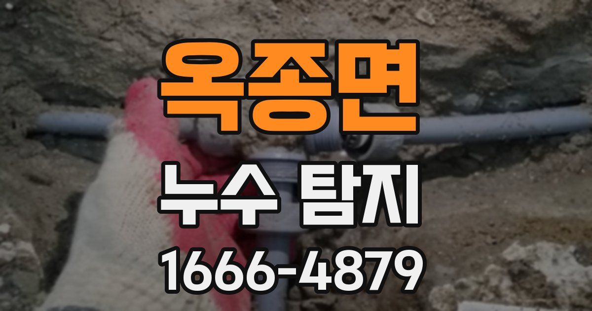 옥종면 누수 탐지