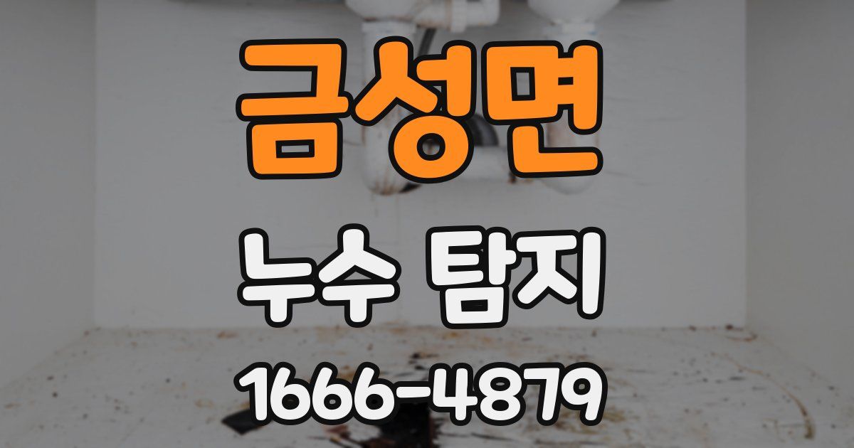 금성면 누수 탐지