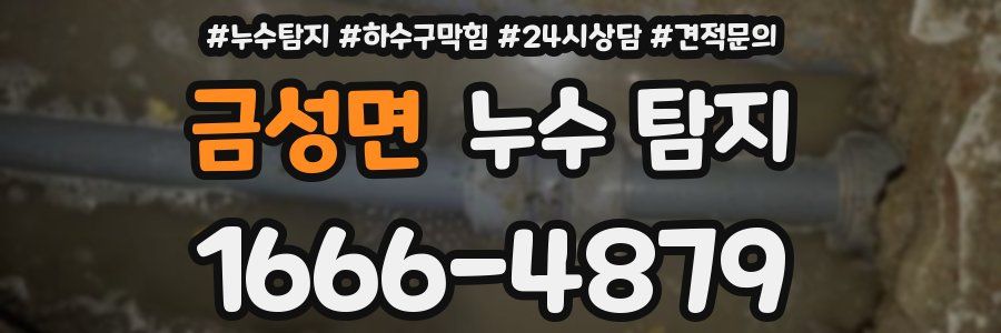 금성면 누수 탐지