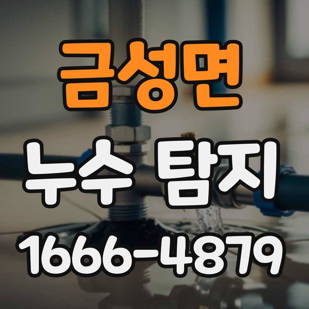 금성면 누수 탐지