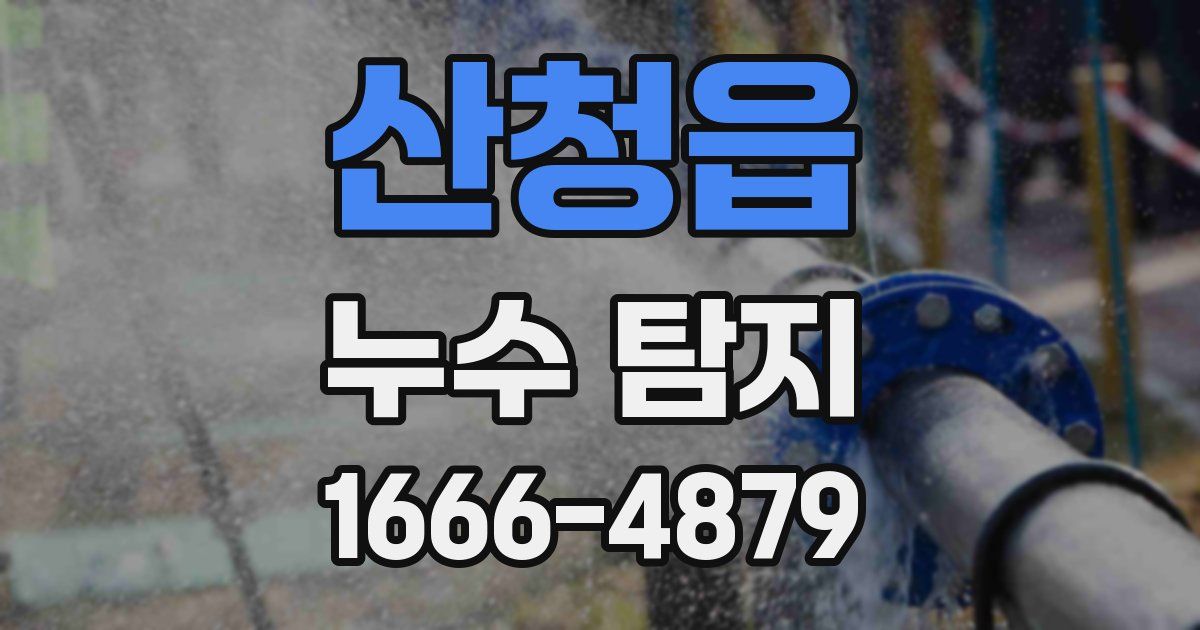 산청읍 누수 탐지