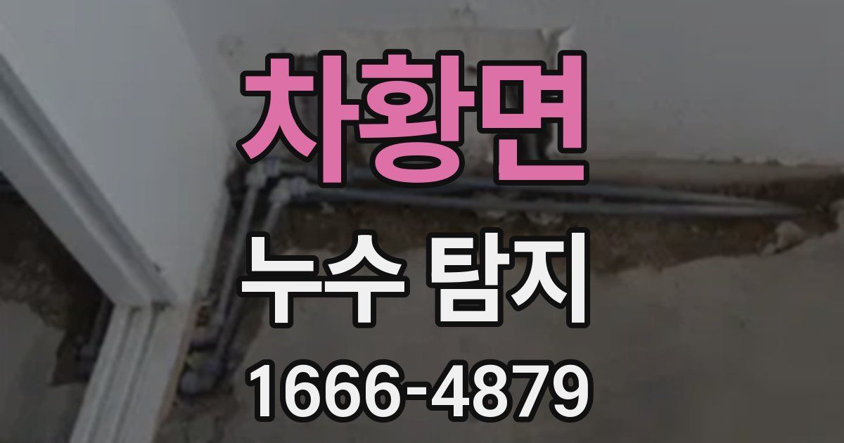 차황면 누수 탐지
