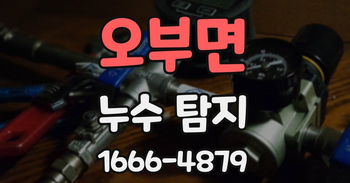 오부면 누수 탐지