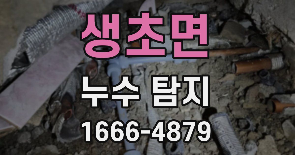 생초면 누수 탐지