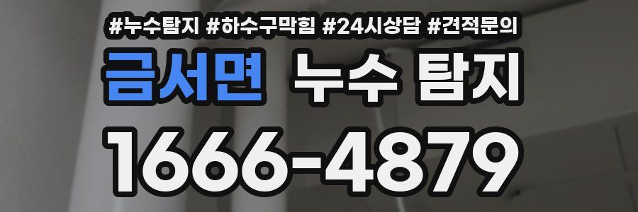 금서면 누수 탐지