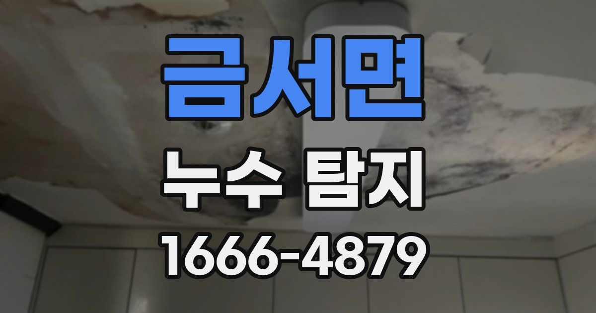 금서면 누수 탐지