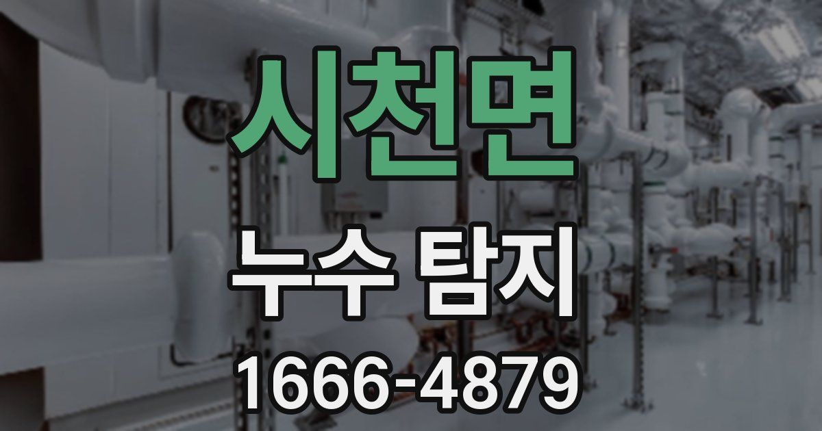 시천면 누수 탐지