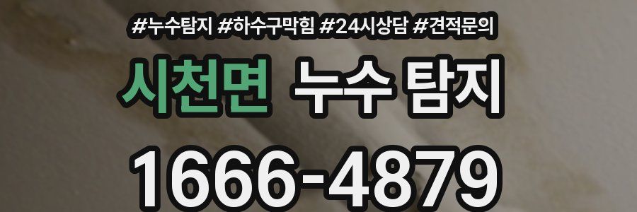시천면 누수 탐지