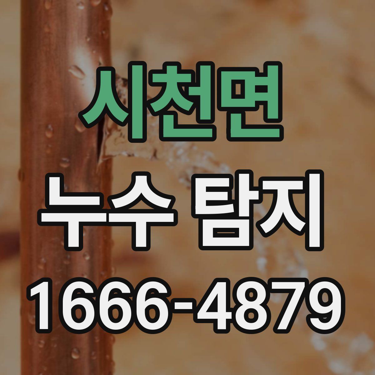 시천면 누수 탐지