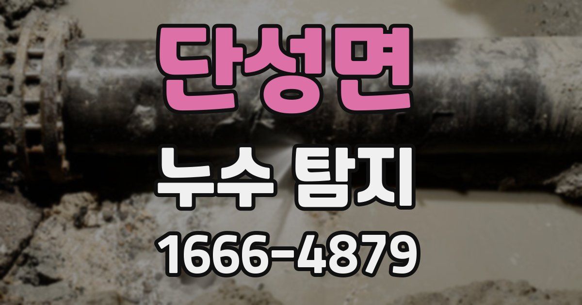 단성면 누수 탐지