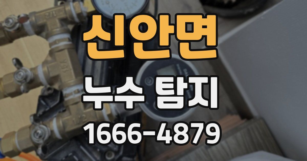 신안면 누수 탐지