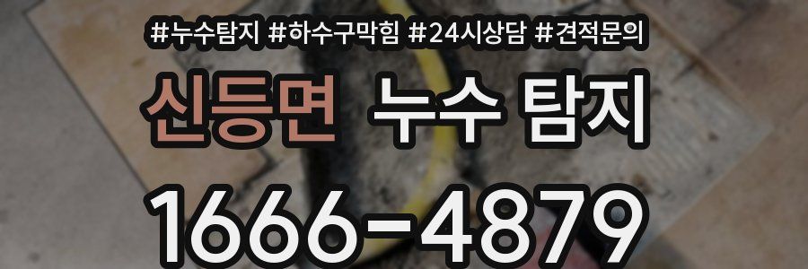 신등면 누수 탐지