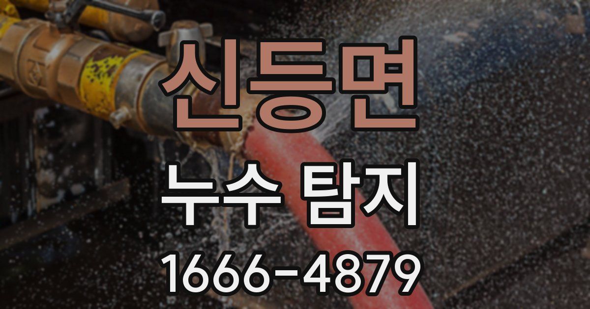 신등면 누수 탐지