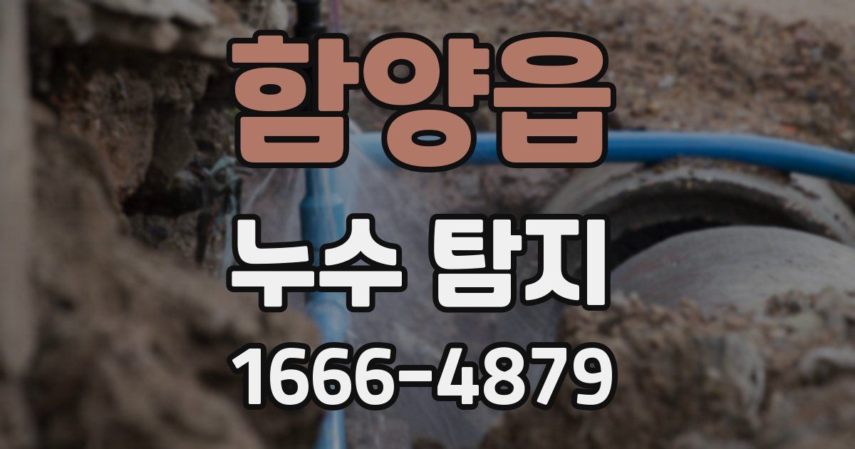 함양읍 누수 탐지