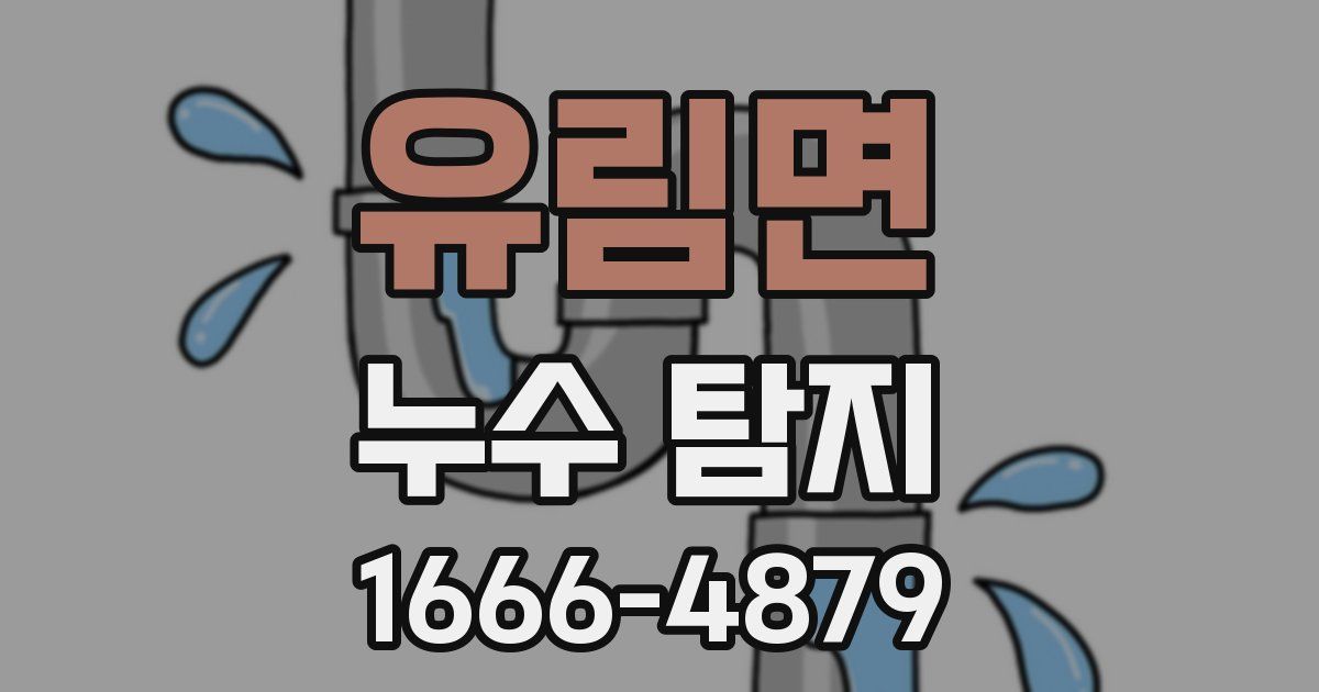 유림면 누수 탐지