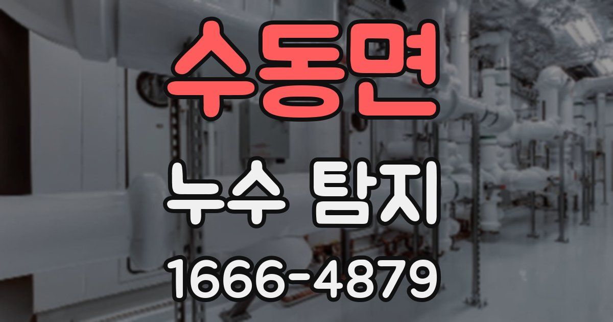 수동면 누수 탐지