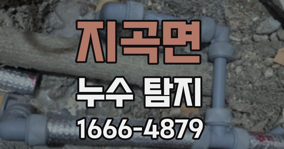 지곡면 누수 탐지