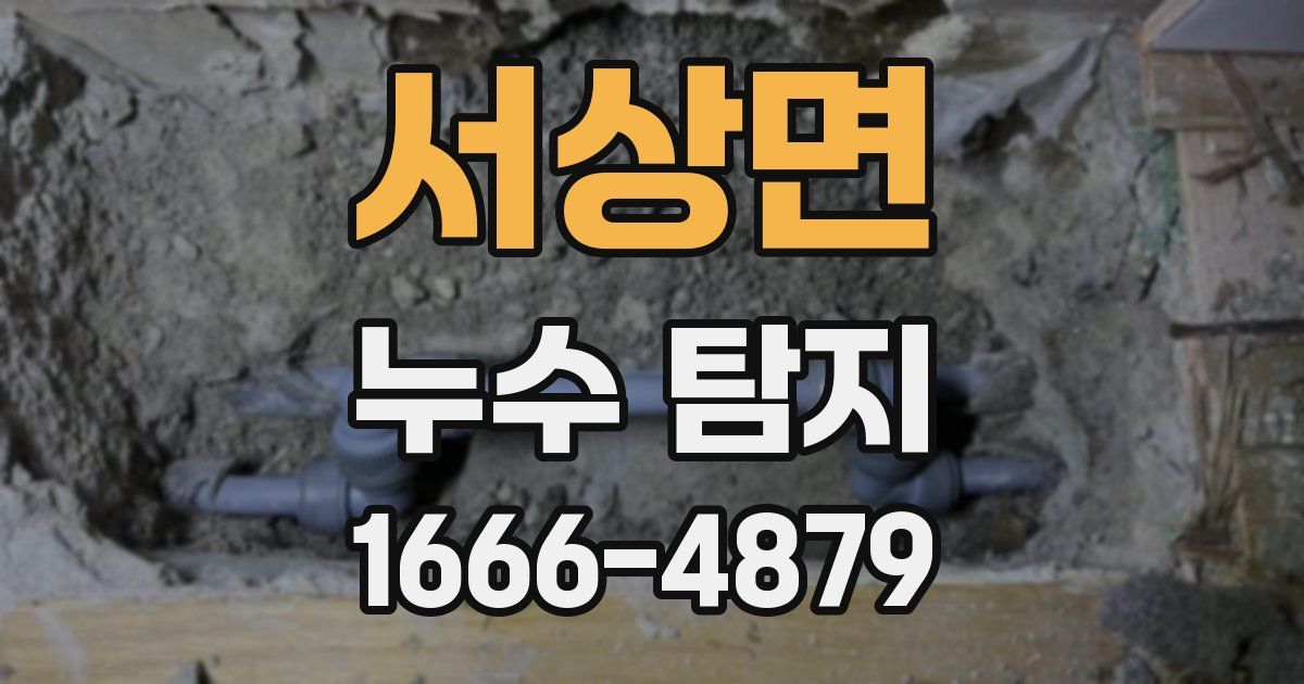 서상면 누수 탐지