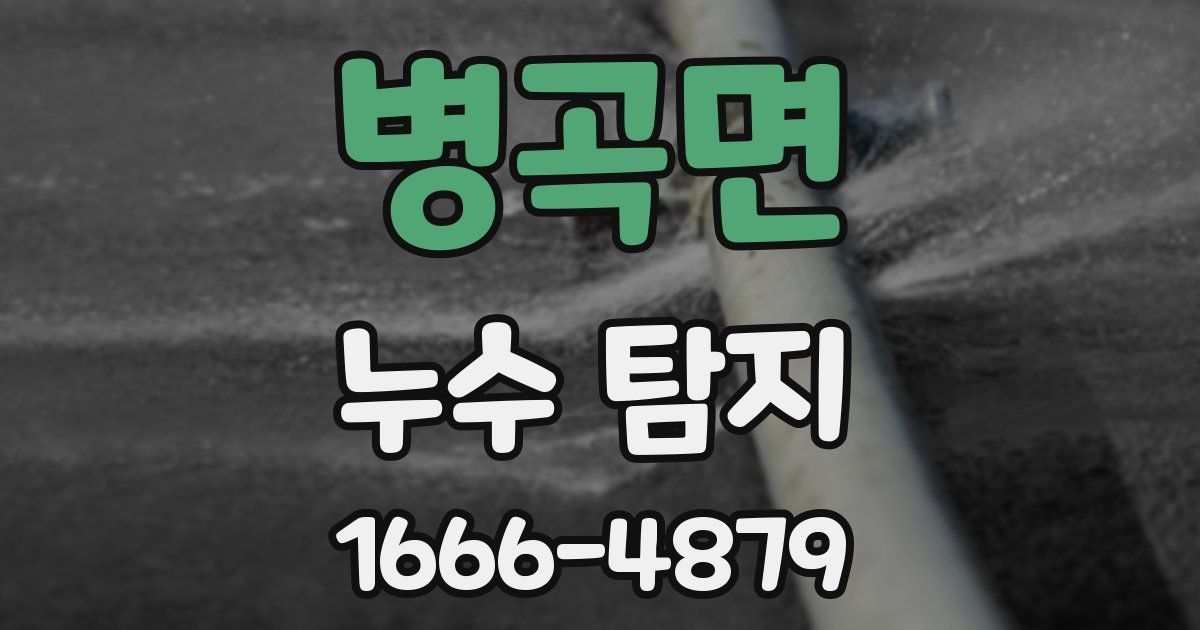 병곡면 누수 탐지