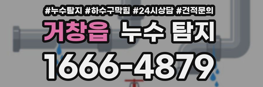 거창읍 누수 탐지