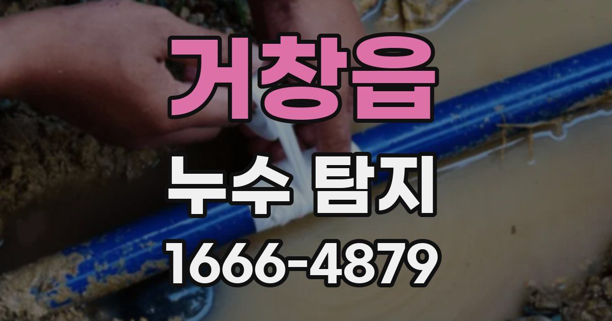 거창읍 누수 탐지
