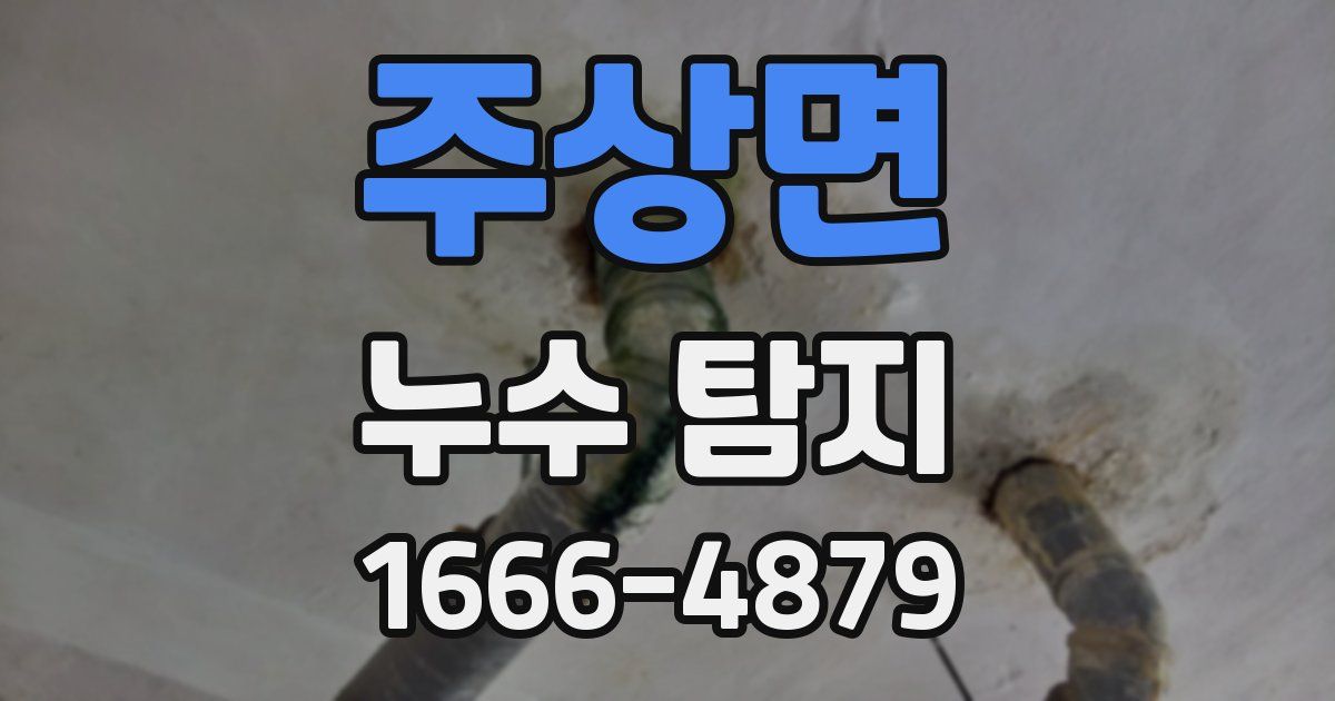 주상면 누수 탐지