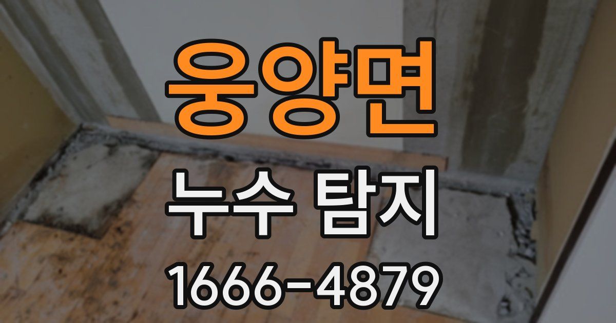 웅양면 누수 탐지